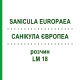 САНИКУЛА ЕВРОПЕА (SANICULA EUROPAEA) LM 18 раствор 10 мл - Гомеопатия ARCANA DR.SEWERIN
