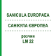 САНИКУЛА ЕВРОПЕА (SANICULA EUROPAEA) LM 22 раствор 10 мл - Гомеопатия ARCANA DR.SEWERIN
