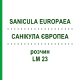САНИКУЛА ЕВРОПЕА (SANICULA EUROPAEA) LM 23 раствор 10 мл - Гомеопатия ARCANA DR.SEWERIN