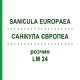 САНИКУЛА ЕВРОПЕА (SANICULA EUROPAEA) LM 24 раствор 10 мл - Гомеопатия ARCANA DR.SEWERIN
