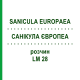 САНИКУЛА ЕВРОПЕА (SANICULA EUROPAEA) LM 28 раствор 10 мл - Гомеопатия ARCANA DR.SEWERIN