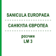 САНИКУЛА ЕВРОПЕА (SANICULA EUROPAEA) LM 3 раствор 10 мл - Гомеопатия ARCANA DR.SEWERIN