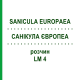 САНИКУЛА ЕВРОПЕА (SANICULA EUROPAEA) LM 4 раствор 10 мл - Гомеопатия ARCANA DR.SEWERIN