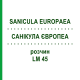 САНИКУЛА ЕВРОПЕА (SANICULA EUROPAEA) LM 45 раствор 10 мл - Гомеопатия ARCANA DR.SEWERIN