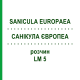 САНИКУЛА ЕВРОПЕА (SANICULA EUROPAEA) LM 5 раствор 10 мл - Гомеопатия ARCANA DR.SEWERIN