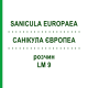 САНИКУЛА ЕВРОПЕА (SANICULA EUROPAEA) LM 9 раствор 10 мл - Гомеопатия ARCANA DR.SEWERIN
