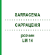 САРРАЦЕНИЯ (SARRACENIA) LM 14 раствор 10 мл - Гомеопатия ARCANA DR.SEWERIN