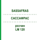 САССАФРАС (SASSAFRAS) LM 120 раствор 10 мл - Гомеопатия ARCANA DR.SEWERIN