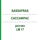 САССАФРАС (SASSAFRAS) LM 17 раствор 10 мл - Гомеопатия ARCANA DR.SEWERIN