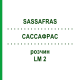 САССАФРАС (SASSAFRAS) LM 2 раствор 10 мл - Гомеопатия ARCANA DR.SEWERIN