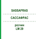 САССАФРАС (SASSAFRAS) LM 29 раствор 10 мл - Гомеопатия ARCANA DR.SEWERIN