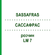 САССАФРАС (SASSAFRAS) LM 7 раствор 10 мл - Гомеопатия ARCANA DR.SEWERIN
