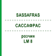 САССАФРАС (SASSAFRAS) LM 8 раствор 10 мл - Гомеопатия ARCANA DR.SEWERIN