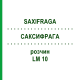 САКСИФРАГА (SAXIFRAGA) LM 10 раствор 10 мл - Гомеопатия ARCANA DR.SEWERIN