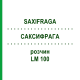 САКСИФРАГА (SAXIFRAGA) LM 100 раствор 10 мл - Гомеопатия ARCANA DR.SEWERIN