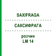 САКСИФРАГА (SAXIFRAGA) LM 14 раствор 10 мл - Гомеопатия ARCANA DR.SEWERIN