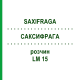 САКСИФРАГА (SAXIFRAGA) LM 15 раствор 10 мл - Гомеопатия ARCANA DR.SEWERIN