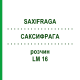 САКСИФРАГА (SAXIFRAGA) LM 16 раствор 10 мл - Гомеопатия ARCANA DR.SEWERIN