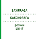 САКСИФРАГА (SAXIFRAGA) LM 17 раствор 10 мл - Гомеопатия ARCANA DR.SEWERIN