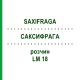 САКСИФРАГА (SAXIFRAGA) LM 18 раствор 10 мл - Гомеопатия ARCANA DR.SEWERIN