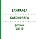 САКСИФРАГА (SAXIFRAGA) LM 19 раствор 10 мл - Гомеопатия ARCANA DR.SEWERIN