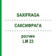 САКСИФРАГА (SAXIFRAGA) LM 23 раствор 10 мл - Гомеопатия ARCANA DR.SEWERIN