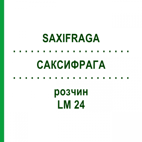 САКСИФРАГА (SAXIFRAGA) LM 24 раствор 10 мл - Гомеопатия ARCANA DR.SEWERIN