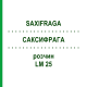 САКСИФРАГА (SAXIFRAGA) LM 25 раствор 10 мл - Гомеопатия ARCANA DR.SEWERIN