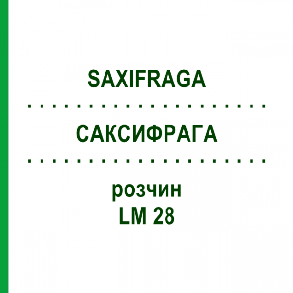 САКСИФРАГА (SAXIFRAGA) LM 28 раствор 10 мл - Гомеопатия ARCANA DR.SEWERIN