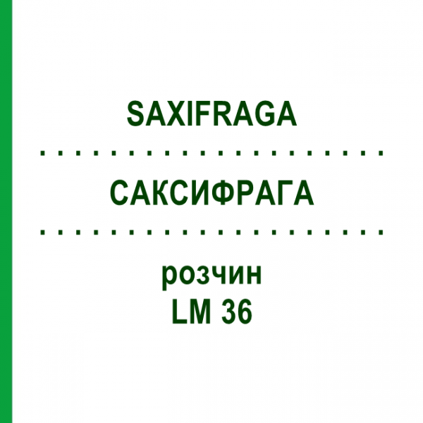 САКСИФРАГА (SAXIFRAGA) LM 36 раствор 10 мл - Гомеопатия ARCANA DR.SEWERIN