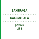 САКСИФРАГА (SAXIFRAGA) LM 5 раствор 10 мл - Гомеопатия ARCANA DR.SEWERIN