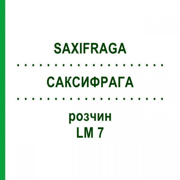 САКСИФРАГА (SAXIFRAGA) LM 7 раствор 10 мл - Гомеопатия ARCANA DR.SEWERIN