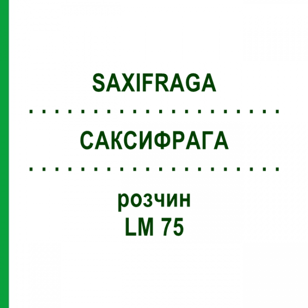САКСИФРАГА (SAXIFRAGA) LM 75 раствор 10 мл - Гомеопатия ARCANA DR.SEWERIN