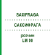 САКСИФРАГА (SAXIFRAGA) LM 90 раствор 10 мл - Гомеопатия ARCANA DR.SEWERIN