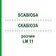 СКАБИОЗА (SCABIOSA) LM 11 раствор 10 мл - Гомеопатия ARCANA DR.SEWERIN