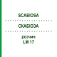 СКАБИОЗА (SCABIOSA) LM 17 раствор 10 мл - Гомеопатия ARCANA DR.SEWERIN