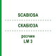 СКАБИОЗА (SCABIOSA) LM 3 раствор 10 мл - Гомеопатия ARCANA DR.SEWERIN