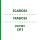 СКАБИОЗА (SCABIOSA) LM 5 раствор 10 мл - Гомеопатия ARCANA DR.SEWERIN