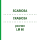 СКАБИОЗА (SCABIOSA) LM 60 раствор 10 мл - Гомеопатия ARCANA DR.SEWERIN