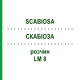 СКАБИОЗА (SCABIOSA) LM 8 раствор 10 мл - Гомеопатия ARCANA DR.SEWERIN