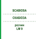 СКАБИОЗА (SCABIOSA) LM 9 раствор 10 мл - Гомеопатия ARCANA DR.SEWERIN