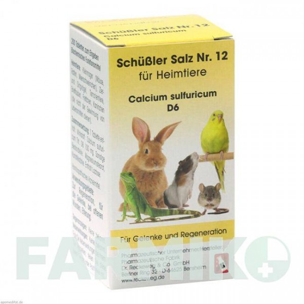 ШУССЛЕР САЛЬЦ (SCHUSSLER SALZ) D 6 таблетки 200 шт - Гомеопатия DR.RECKEWEG