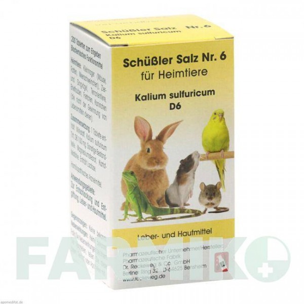 ШУССЛЕР САЛЬЦ (SCHUSSLER SALZ) D 6 таблетки 200 шт - Гомеопатия DR.RECKEWEG
