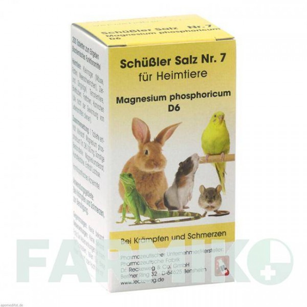ШУССЛЕР САЛЬЦ (SCHUSSLER SALZ) D 6 таблетки 200 шт - Гомеопатия DR.RECKEWEG