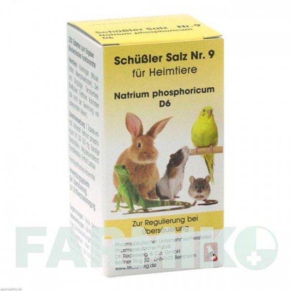 ШУССЛЕР САЛЬЦ (SCHUSSLER SALZ) D 6 таблетки 200 шт - Гомеопатия DR.RECKEWEG