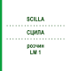 СЦИЛЛА (SCILLA) LM 1 раствор 10 мл - Гомеопатия ARCANA DR.SEWERIN