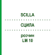 СЦИЛЛА (SCILLA) LM 10 раствор 10 мл - Гомеопатия ARCANA DR.SEWERIN