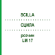 СЦИЛЛА (SCILLA) LM 17 раствор 10 мл - Гомеопатия ARCANA DR.SEWERIN