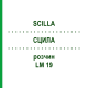 СЦИЛЛА (SCILLA) LM 19 раствор 10 мл - Гомеопатия ARCANA DR.SEWERIN