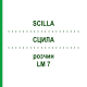 СЦИЛЛА (SCILLA) LM 7 раствор 10 мл - Гомеопатия ARCANA DR.SEWERIN